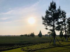 -游子山休闲旅游区
