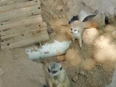 -西安秦岭野生动物园