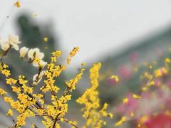 -八大处公园