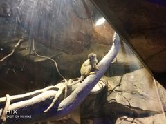 -哈尔滨波塞冬海底世界