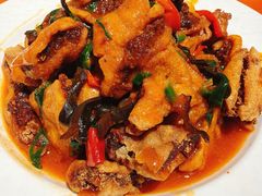 浇汁袈裟-柴窝堡22号辣子鸡·传承新疆菜