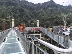 -梦幻奥陶纪景区