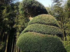 -苏州河梦清园环保主题公园