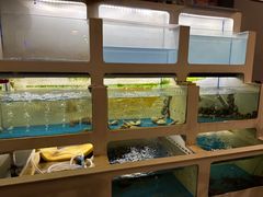 -质烤烤物·活烤海鲜(质烤总店)