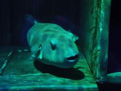 -沈阳海洋探索中心