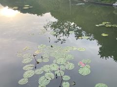 -云溪植物园