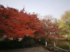-荆川公园