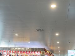 -河内内排国际机场