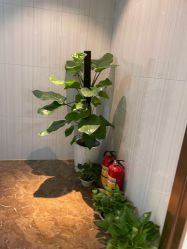 -丽美妍医疗美容·皮秒·立体分层抗衰