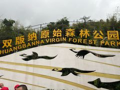 -西双版纳原始森林公园
