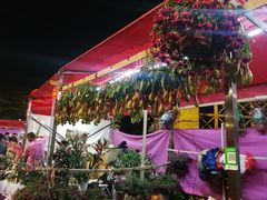 -文华公园(禅城区)