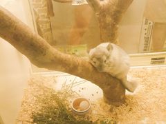 -龙猫仔乐园(惠福东路店)