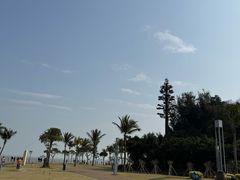 -野狸岛