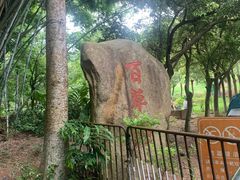 -田心森林公园