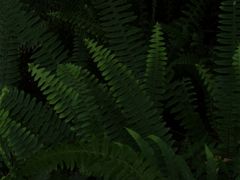 -成都市活水公园
