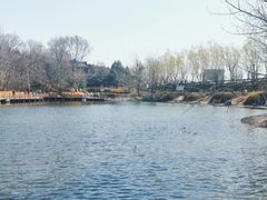 -云岗森林公园