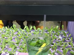 话梅青柠梳打-蔡澜PHO(海岸城店)