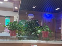 -嘉和一品粥(政府街店)