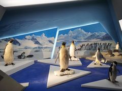 -贝林大翅鲸简餐厅(国家海洋博物馆店)