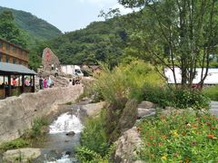 -天女山森林公园