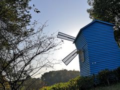 -铁山坪森林公园