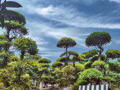 景点-武汉紫薇都市田园