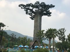 -苏州乐园森林水世界