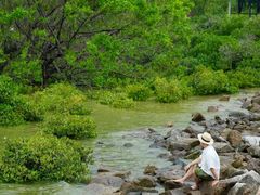 -宝安西湾红树林湿地公园