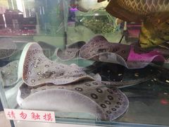 -华声天桥民俗文化园