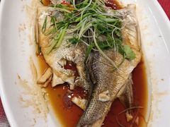 -御同亨酒楼·喜宴