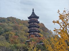 -牛首山文化旅游区