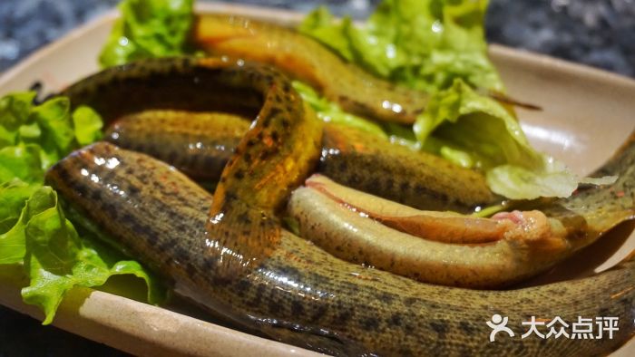 蜀大侠火锅现杀泥鳅图片