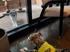 -弗兰克牛排西餐厅Ribone steak house(柠檬花园店)