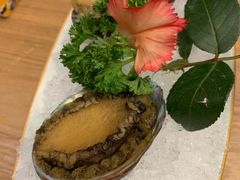 -一本钓鲔鱼屋