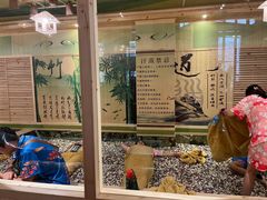 -水王国温泉水世界