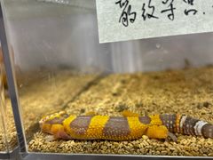 -三旗百汇商品城