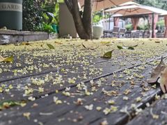 -自在弥林花园餐厅(云栖店)