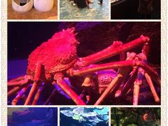 -暹罗海洋世界