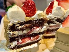 -维尔纳斯·生日蛋糕·动物奶油冰淇淋蛋糕(六里桥店)