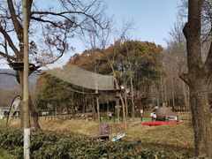 -WeLope紫金山探险公园
