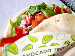-油梨树AVOCADO TREE(望京店)
