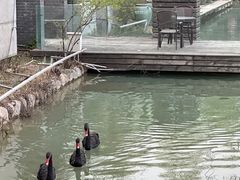 -春晖园度假酒店温泉