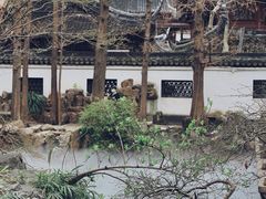 -豫园