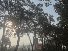 -桃花岛景观公园