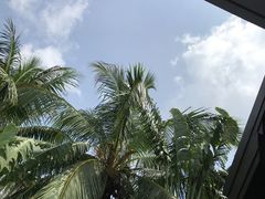 -三亚亚龙湾雅高铂尔曼别墅度假酒店