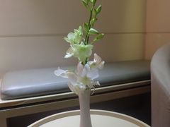 -西贡日航酒店
