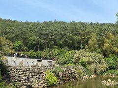 -九龙潭景区