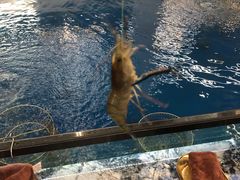 -SHRIMP CLUB万东餐饮钓虾·清吧