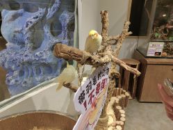 -Zoolung Zoolung动物主题公园(海信广场店)