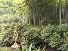 -杭州黄龙洞